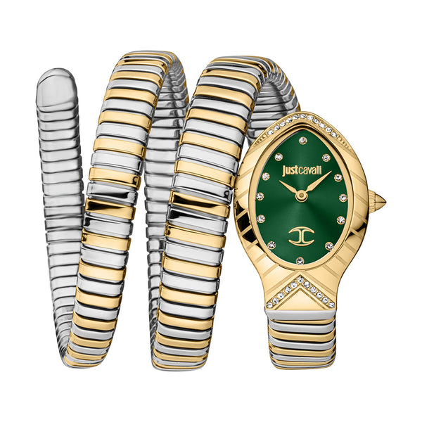 Just Cavalli Women Classico Lungo Analog Green Dial Watch JC1L248M0065